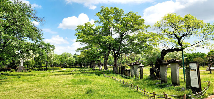 [광양=뉴시스] 이팝꽃 핀 광양 유당공원. (사진=광양시 제공) 2025.05.14. photo@newsis.com *재판매 및 DB 금지
