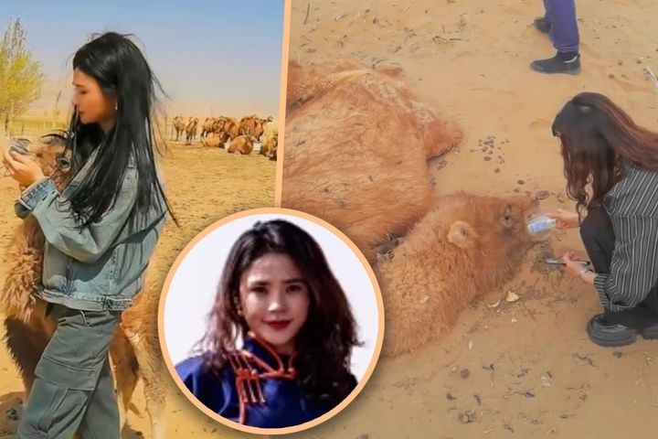 [뉴시스]중국의 한 여성이 사막 트레킹 도중 탈진한 낙타를 발견해 응급처치를 한 미담이 온라인상에 퍼지면서 이 여성에 대한 찬사가 이어지고 있다. (사진=SCMP) 2025.5.14 *재판매 및 DB 금지