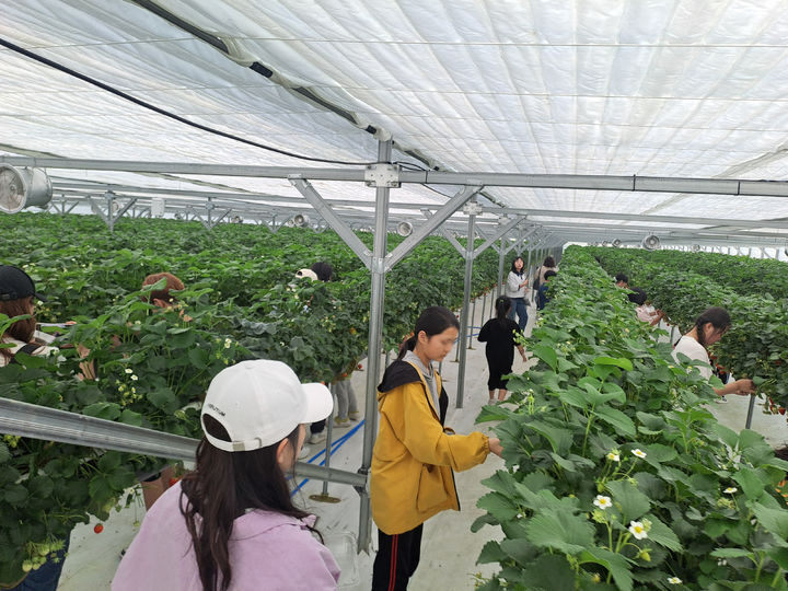 [양양=뉴시스] 지난해 양양지역 4-H 학생회원 및 지도교사들이 농촌체험활동을 하고 있는 모습.(사진=양양군 제공)photo@newsis.com *재판매 및 DB 금지