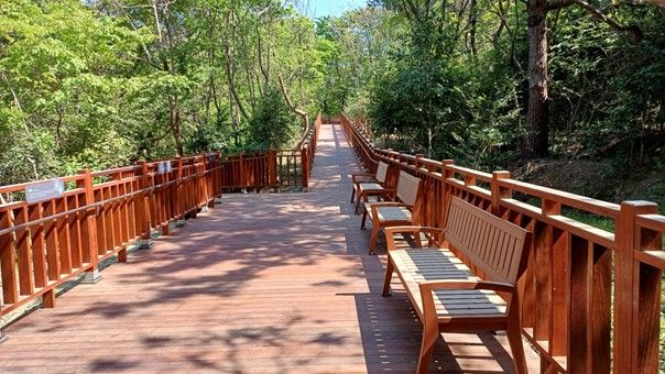 [부산=뉴시스] 남구 이기대예술공원 무장애 산책길. (사진=부산시 제공) 2025.05.15. photo@newsis.com *재판매 및 DB 금지