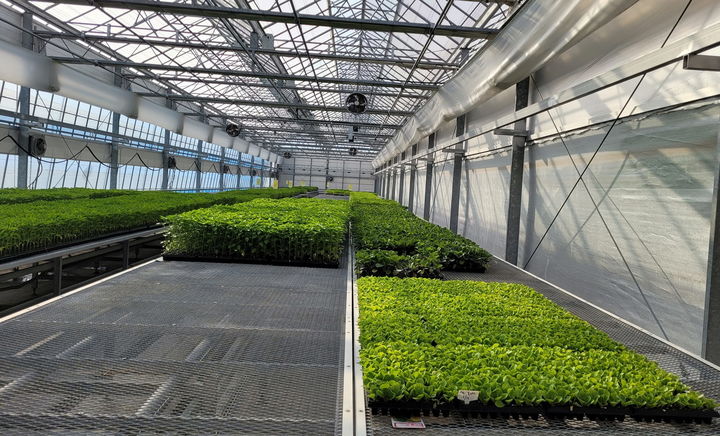 친환경 육묘장. (사진=전남도 제공) *재판매 및 DB 금지