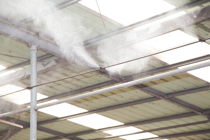 [세종=뉴시스] 농촌진흥청은 여름철을 앞두고 축사 냉방·환기시설 사전 점검을 15일 당부했다. 사진은 안개분무. (사진=농진청 제공) 2025.05.15. photo@newsis.com *재판매 및 DB 금지