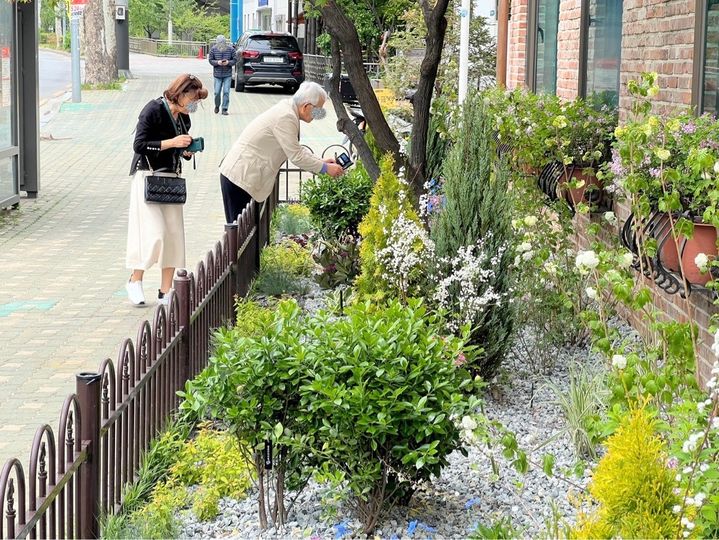 [서울=뉴시스] 서대문구, 보건소 별관에 심리적 안정감 더하는 정원 조성. 2025.05.15. (사진=서대문구 제공) *재판매 및 DB 금지