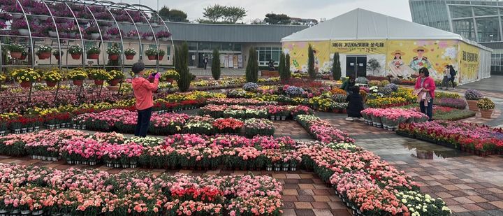 [거창=뉴시스] 거창군 제6회 거창아리미아꽃축제 (사진=거창군 제공) 2025. 05. 15. photo@newsis.com&nbsp; *재판매 및 DB 금지