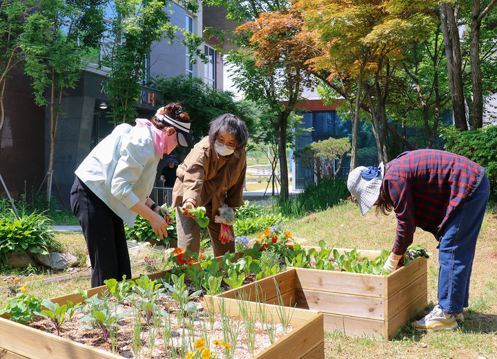 충북도농업기술원의 어르신 만성질환 예방 치유농업 프로그램 진행 모습. (사진=충북도농업기술원) *재판매 및 DB 금지