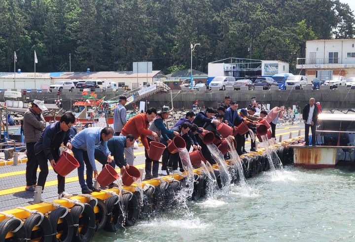 [무안=뉴시스]대하 종자 방류. (사진=무안군 제공) 2025.05.15. photo@newsis.com *재판매 및 DB 금지
