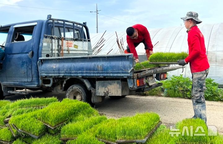[포항=뉴시스] 해병대 장병 7000명이 15~28일 농번기를 맞아 지역 16개 읍·면·동(남구 8개·북구 8개)에서 농촌 일손 돕기에 나선다. 15일 농촌 일손 돕기에 나선 해병대 장병들이 1t 트럭에서 모판을 내리는 모습. (사진=포항시 제공) 2025.05.15. photo@newsis.com