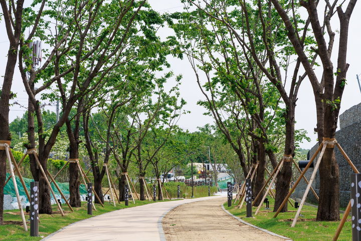 [예천=뉴시스] 옛 철둑길 공원. (사진=예천군 제공) 2025.05.16. photo@newsis.com *재판매 및 DB 금지