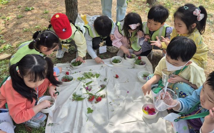 [대구=뉴시스] 대구시교육청은 11월까지 동구, 수성구, 북구, 달성군 등 4개 지역 영유아를 대상으로 지역 내 공원과 숲 체험원을 활용해 '영유아 자연놀이 체험'을 확대 운영한다. (사진=대구교육청 제공) 2025.05.16. photo@newsis.com *재판매 및 DB 금지