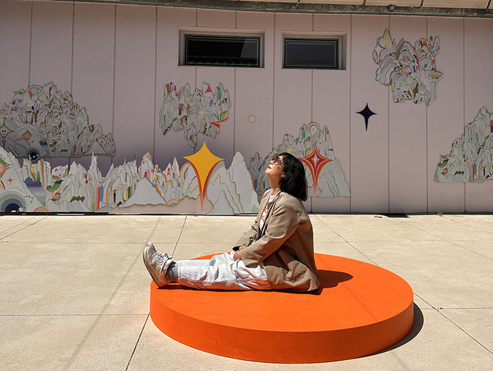 영월 진달래 사진과 프로젝트 모습.(사진=영월군 제공) *재판매 및 DB 금지