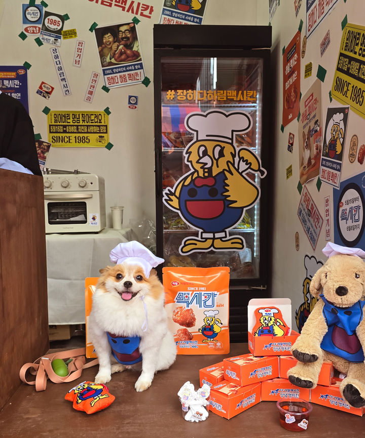 '장하다 하림 맥시칸' 팝업스토어에서 멍치맥 세트를 즐기는 반려견의 모습. (사진=하림펫푸드) 2025.05.18. photo@newsis.com *재판매 및 DB 금지