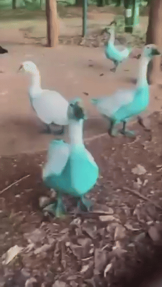 [뉴시스] (영상=엑스) *재판매 및 DB 금지