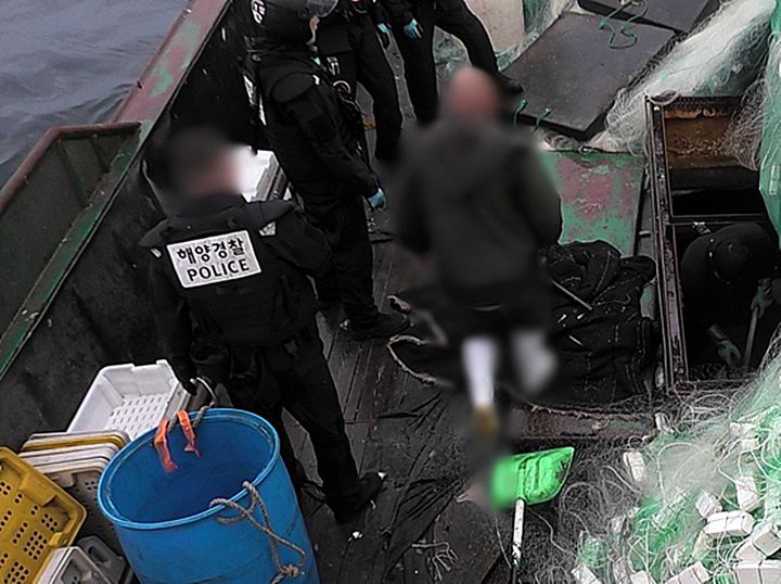 해경이 중국어선 선수 어획물 창고에서 보관중인 고등어와 갈치 등을 확인하고 있다, (사진=군산해경 제공) *재판매 및 DB 금지
