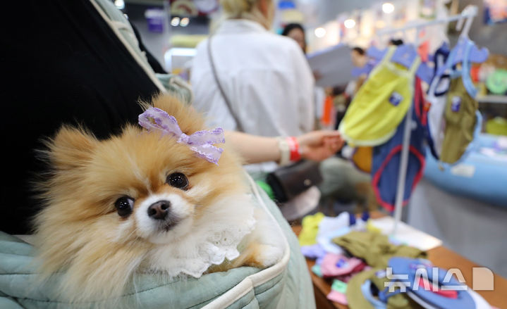 [고양=뉴시스] 김혜진 기자 = 사진은 지난 16일 경기 고양시 킨텍스에서 열린 2025 메가주 일산에서 관람객들이 반려동물 용품을 살펴보고 있는 모습. 2025.05.16. jini@newsis.com