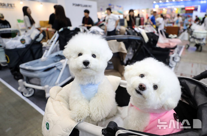 [고양=뉴시스] 5월16일 경기 고양시 킨텍스에서 열린 2025 메가주 일산에서 강아지가 반려견 유아차에 앉아 있다. (사진=뉴시스 DB). photo@newsis.com 