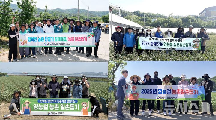 영천시 부서별 농촌 일손돕기 현장