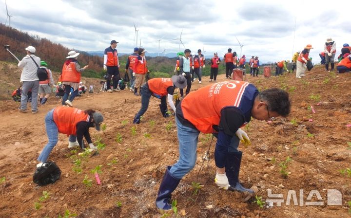 [포항=뉴시스] 송종욱 기자 = 포항시와 (사)포항시자원봉사센터는 지난 17일 경북 산불 피해 지역인 영덕군 별파랑공원에서 진달래 1000그루를 심고, 지역 상가를 방문해 경제 활성화에 도움이 되는 볼런투어를 했다. 사진은 참가자들이 산불 피해 지역에 진달래 묘목을 심는 모습. (사진=포항시 제공) 2025.05.18. photo@newsis.com