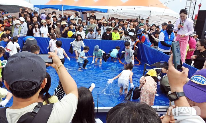 [제주=뉴시스] 오영재 기자 = 18일 오전 제주 서귀포시 보목항에서 열린 '보목 2025 자리돔축제'에서 어린이들이 자리돔 맨손 잡기 체험을 하고 있다. 2025.05.18. oyj4343@newsis.com 