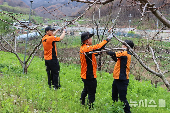 [영덕=뉴시스] 안병철 기자 = 영덕소방서 직원들이 최근 산불 피해 농가를 찾아 피해복구 봉사활동을 펼치고 있다.(사진=영덕소방서 제공) 2025.05.18. photo@newsis.com 