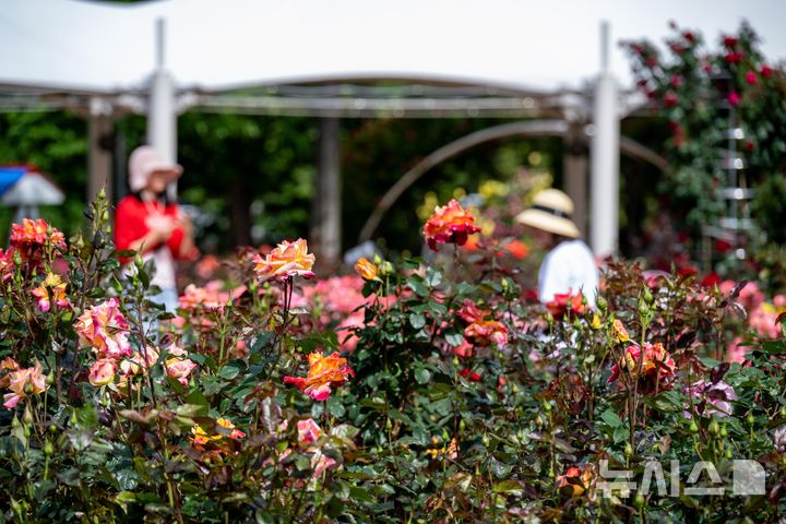 울산, 맑다가 밤부터 구름 많음…최고기온 25도