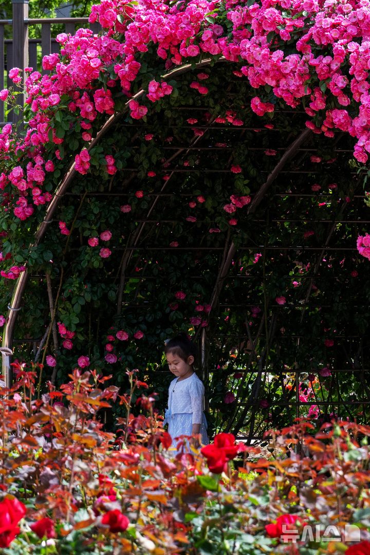[창원=뉴시스] 차용현 기자 = 화창한 봄 날씨를 보인 18일 오전 경남 창원시 성산구 장미공원에서 시민들이 봄 정취를 만끽하고 있다.2025.05.18.con@newsis.com