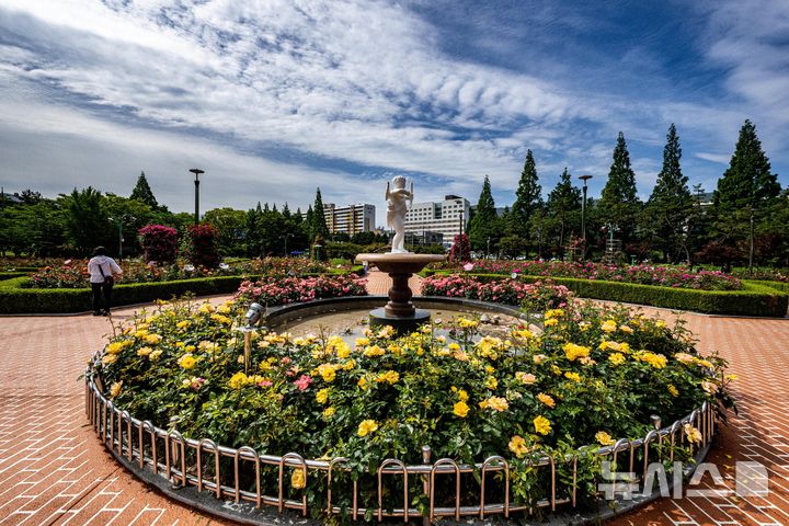 [창원=뉴시스] 차용현 기자 = 화창한 봄 날씨를 보인 18일 오전 경남 창원시 성산구 장미공원에서 시민들이 봄 정취를 만끽하고 있다.2025.05.18.con@newsis.com