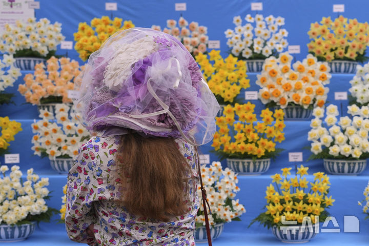 [런던=AP/뉴시스] 19일(현지 시간) 영국 런던 첼시병원에서 열린 2025 첼시 플라워쇼 사전행사에서 한 관람객이 수선화를 바라보고 있다. 2025.05.20.<font style="vertical-align: inherit;"><font style="vertical-align: inherit;"></font></font>