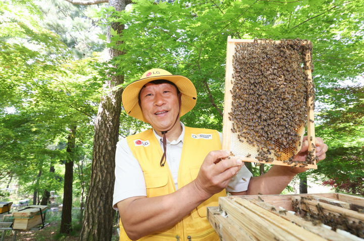 [서울=뉴시스]LG가 조성한 토종 꿀벌 서식지에서 김대립 명인이 꿀벌통을 들어 보이고 있다. (사진 = LG) 2025.05.19. photo@newsis.com *재판매 및 DB 금지
