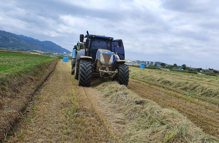 조사료 생산하는 전남 들녘. (사진=전남도 제공) *재판매 및 DB 금지