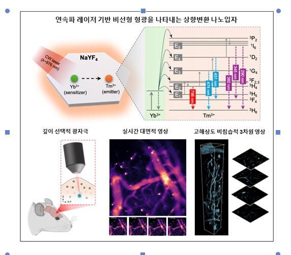 [울산=뉴시스] 구미현 기자 = 연속파 레이저 기반 상향변환 나노입자를 활용한 비선형 형광 영상 원리와 응용 예시를 나타낸 연구그림. (사진=UNIST 제공) photo@newsis.com *재판매 및 DB 금지