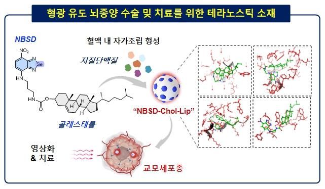 연구 모식도. (사진=경희대 제공) *재판매 및 DB 금지
