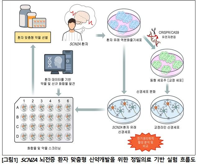 [서울=뉴시스[ SCN2A 뇌전증 환자 맞춤형 신약개발을 위한 정밀의료 기반 실험 흐름도 2025. 5. 19 (그림=한국보건산업진흥원 제공) *재판매 및 DB 금지