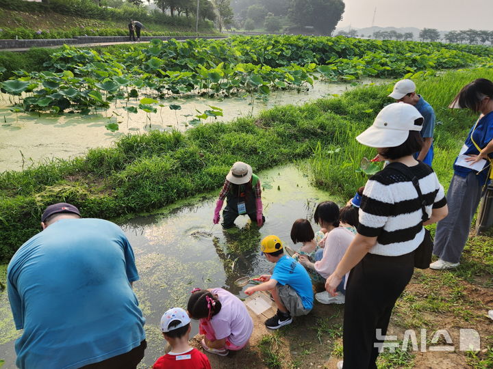 [시흥=뉴시스] 지난해 호조벌에서 열린 생태체험 현장. (사진=시흥시 제공).2025.05.19.photo@newsis.com
