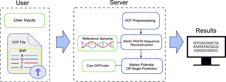 [부산=뉴시스] 부산대 박정빈 교수팀 연구이미지. (사진=부산대 제공) 2025.05.19. photo@newsis.com&nbsp; *재판매 및 DB 금지