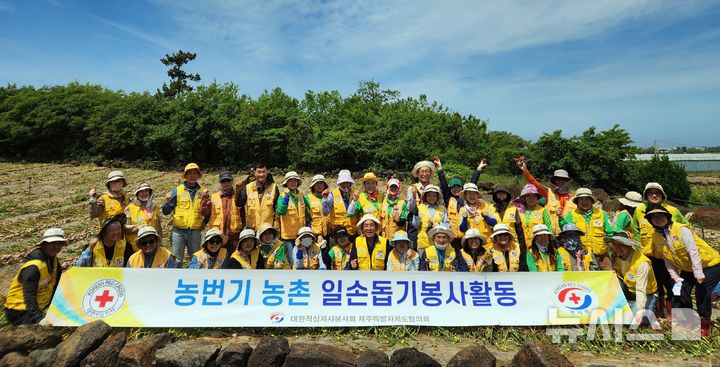 [제주=뉴시스] 대한적십자사봉사회 제주도협의회가 지난 18일 서귀포시 대정읍 마늘밭에서 농촌일손돕기 봉사활동을 하고 기념 사진을 찍고 있다. (사진=대한적십자사봉사회 제주도협의회 제공) 2025.05.19. photo@newsis.com