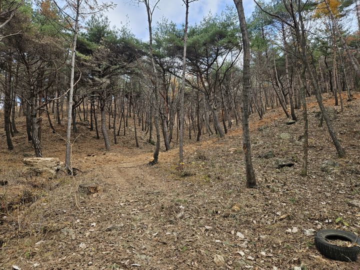 [양산=뉴시스] 산시가 올해 300ha를 대상으로 산불예방 숲가꾸기 1차 사업을 시작한다. (사진=양산시 제공) 2025.05.20. photo@newsis.com *재판매 및 DB 금지