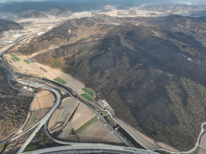 [대전=뉴시스] 안동지역 산불피해지의 모습.(사진=산림청 제공) *재판매 및 DB 금지