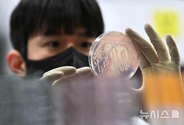 [수원=뉴시스] 김종택 기자 = 19일 경기 수원시 권선구 경기도보건환경연구원에서 연구원이 식중독균 배양분리작업을 하고 있다. 최근 이른 더위가 시작되면서 학교 급식 등 집단급식소 식중독 의심 신고는 총 110건으로 최근 3년 평균(84건)보다 31% 증가했다. 2025.05.19. jtk@newsis.com