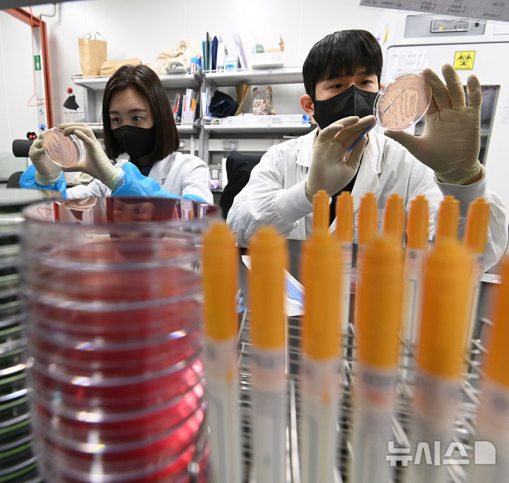 [수원=뉴시스] 김종택 기자 = 지난 5월 19일 경기 수원시 권선구 경기도보건환경연구원에서 연구원들이 식중독균 배양분리작업을 하고 있다. 2025.05.19. jtk@newsis.com