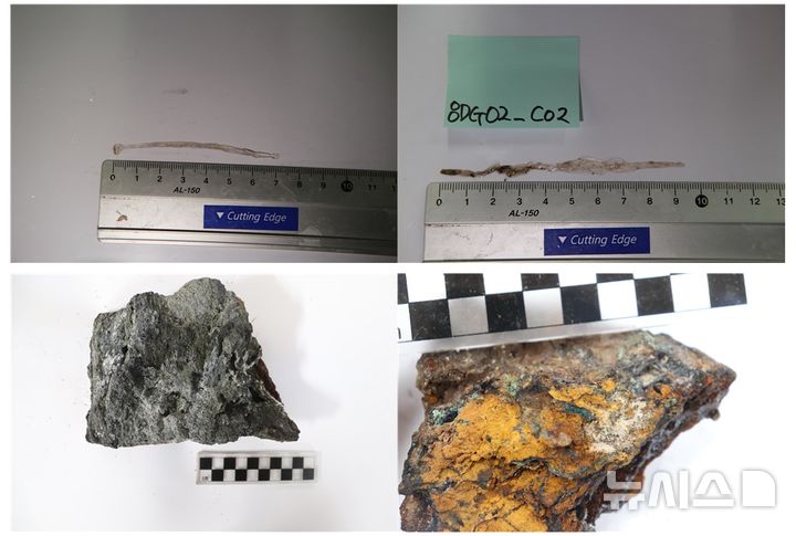 [서울=뉴시스] 남극 중앙해령에서 채집한 화살벌레와 열수광석. (사진=극지연구소 제공)