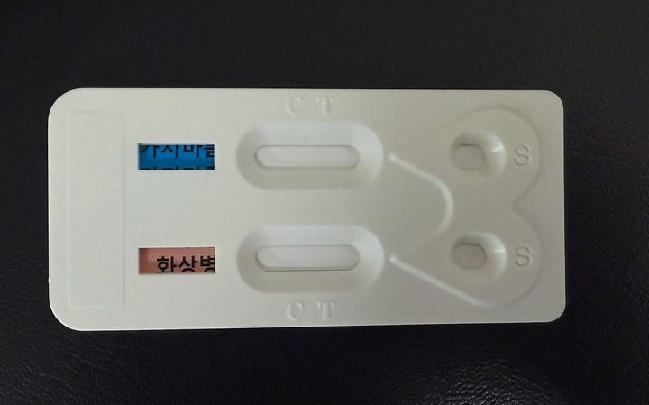 충북도농업기술원이 개발한 과수화상병·가지검은마름병 동시 진단키트. (사진=충북도농업기술원 제공) *재판매 및 DB 금지