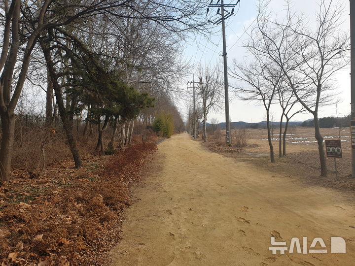 [안산=뉴시스]안산갈대습지 바람소리길 전경.(사진=안산시 제공)2025.05.20.photo@newsis.com