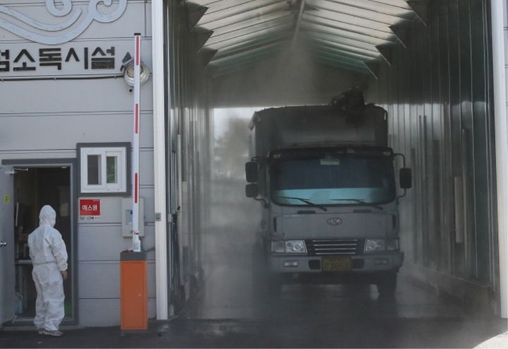 럼피스킨·블루텅·아프리카마역 이상無…"해외 가축질병 조기 차단"