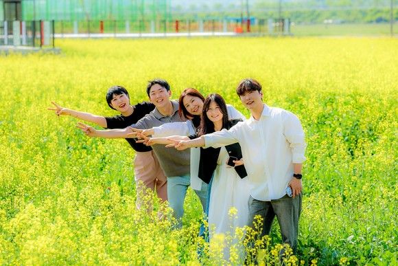 청도군, 풍각면 풍각복합체육센터 인근에 유채꽃 단지 조성 (사진=청도군 제공) *재판매 및 DB 금지