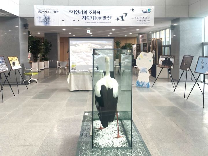 익산시, 시청서 '멸종위기 조류사진전'…20여종 전시된다