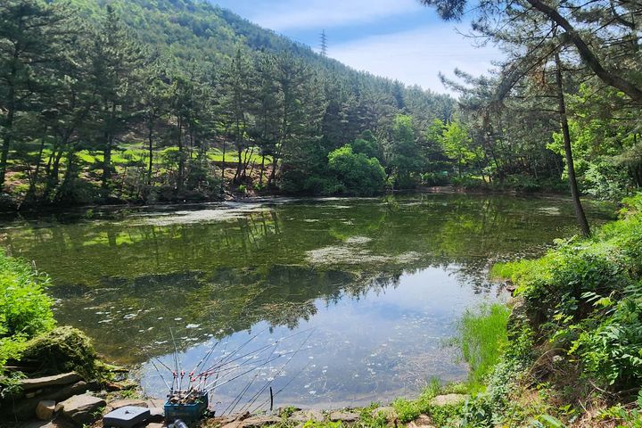 [대구=뉴시스] 대구 달성군 다사읍 서재1지 저수지 사진. (사진=대구안전생활실천시민연합 제공) 2025.05.20. photo@newsis.com *재판매 및 DB 금지