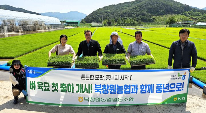 [창원=뉴시스]북창원농협, 벼 육묘장 첫 출하 현대화 시설로 본격 운영.(사진=경남농협 제공) 2025.05.20.photo@newsis.com *재판매 및 DB 금지