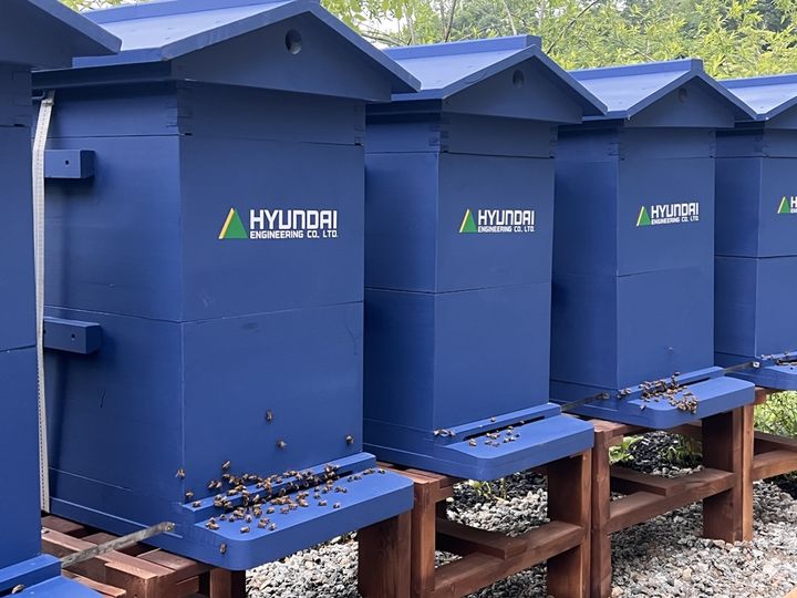 [서울=뉴시스] 현대엔지니어링이 서울 강북구 북서울꿈의숲에 조성된 '꿀벌 서식지' 내 꿀벌을 위해 마련한 거주지. 2025.05.21. (사진=현대엔지니어링 제공) photo@newsis.com *재판매 및 DB 금지