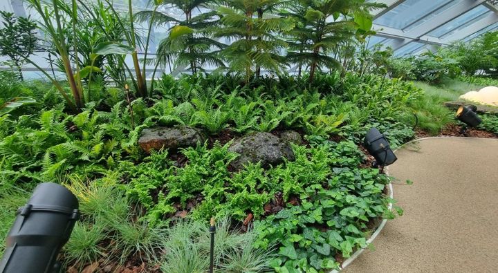 [부산=뉴시스] 비프-포레스트(BIFF-FOREST) 실내 정원. (사진=부산시 제공) 2025.05.21. photo@newsis.com *재판매 및 DB 금지