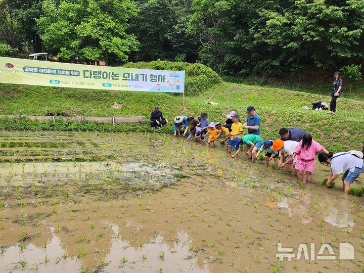 [군포=뉴시스] 지난해 모내기 체험 현장. (사진=군포시 제공). *재판매 및 DB 금지